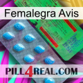 Femalegra Avis new03